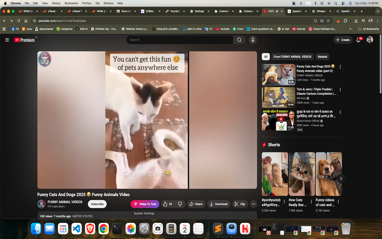 YoutubeTS Extension on YouTube